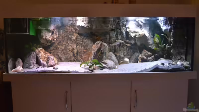 Mitte November 2015 von falleb (3)