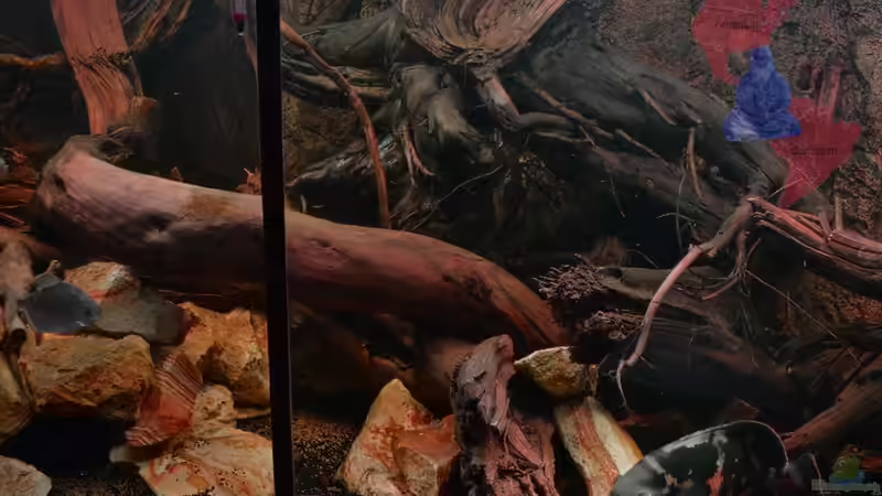 Mitte Rechts (Detail) - 24.10.2012 von GGuardiaNN (20)