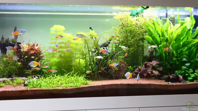 mitte Stand 26.05.2013 von Schmausi (6)