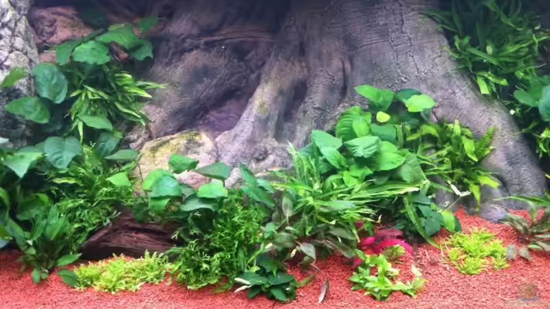 Mitte Tag 0 von Benjamin Daum (5)