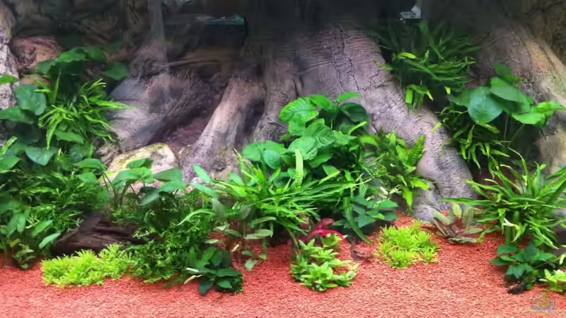 Mitte Tag 7 von Benjamin Daum (8)