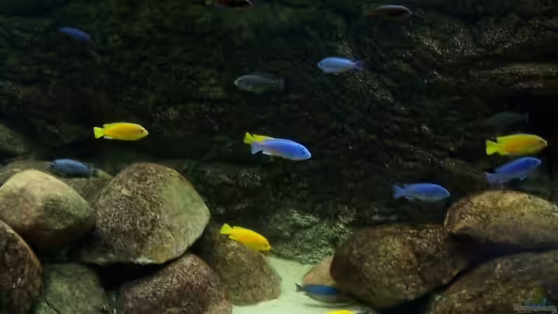 mitte und rechts von Rene Sarink (12)