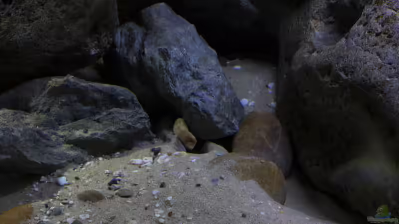 mitte unten von StevenS (13)