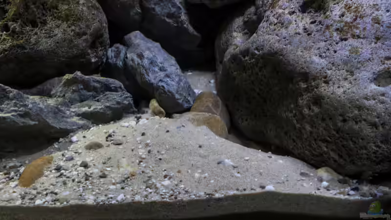 mitte unten von StevenS (16)