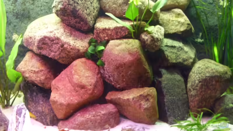 Mitte (Update) von deBouwer (8)