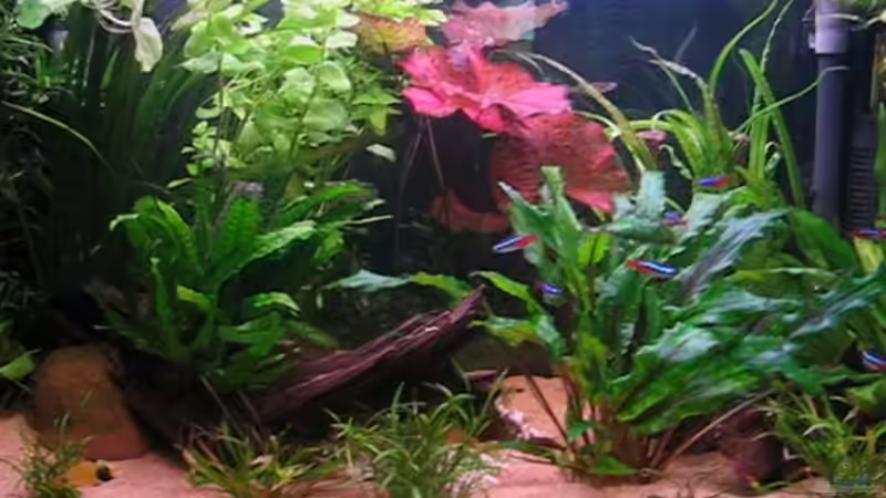 mitte von Andrea & Andreas Wielpütz (3)