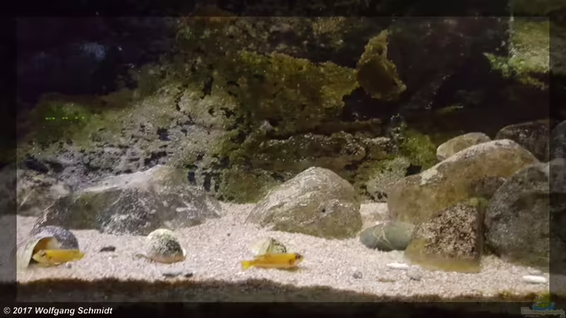 Mitte von Bämbel (3)