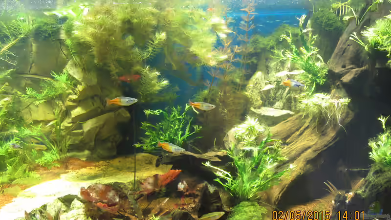 Mitte von Christian Grunwald (4)