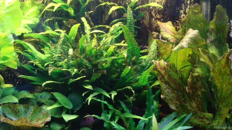 mitte von Christian Heitmann (5)