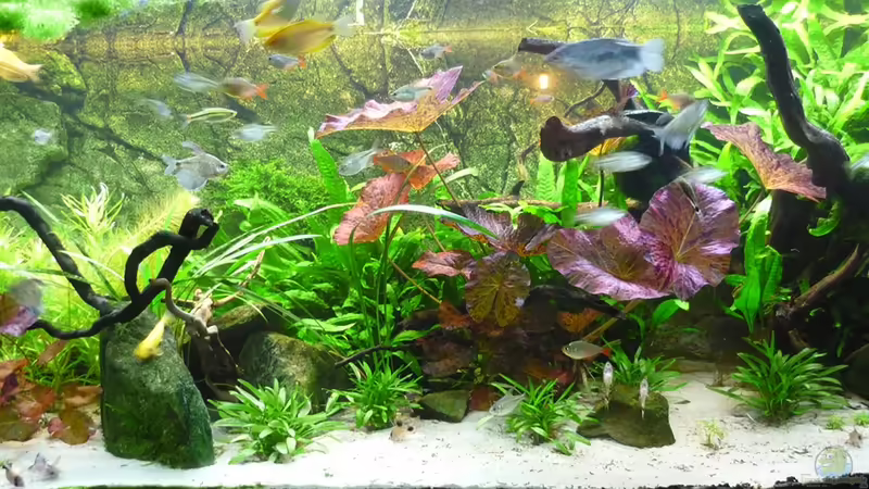 mitte von Christiane Feldmann (15)