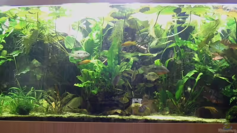 Mitte von Claudia Müller (3)