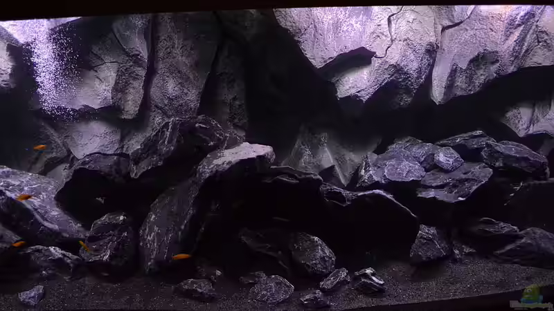 Mitte von DaKo77 (3)