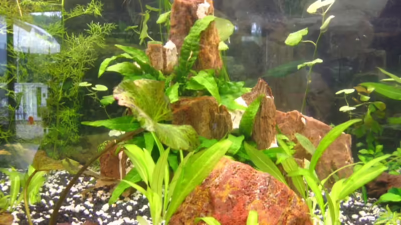 Mitte von DanBri (20)