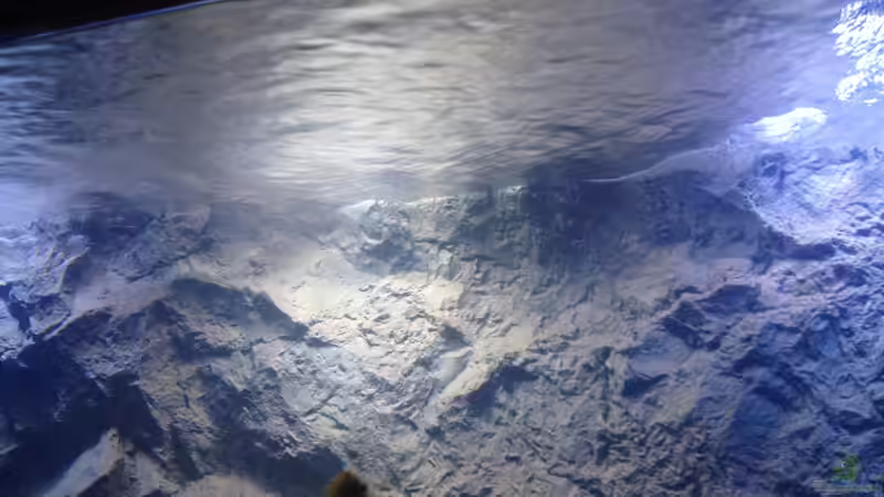 Mitte von der Steirer (5)