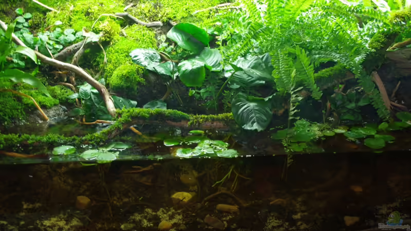 Mitte von gkr123 (3)