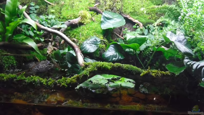 Mitte von gkr123 (5)