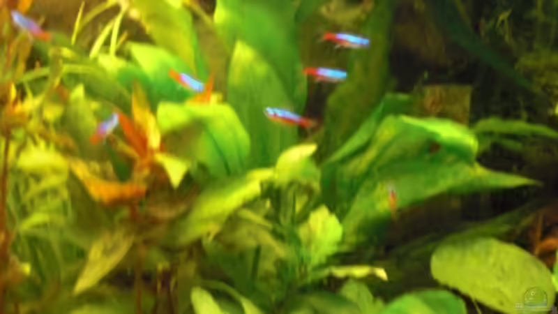 Mitte von guido12304 (3)