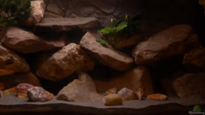 Mitte von Herki (15)