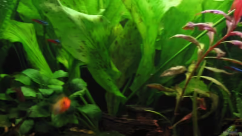 Mitte von Jens Holzner (3)