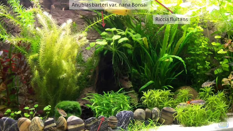 mitte von KidVicious (4)