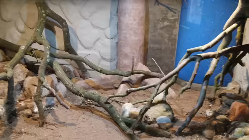 Mitte von Kurt Osterhoff (34)