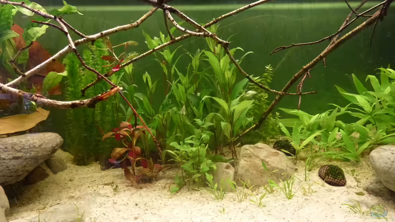 Mitte von Leon St (7)