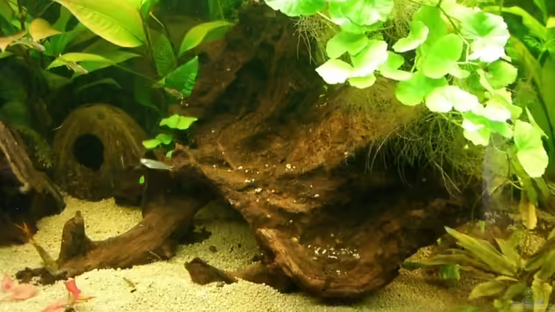 Mitte von lukasg (4)