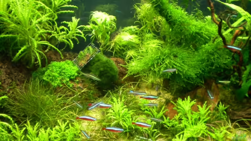 Mitte von Marc Joist (3)