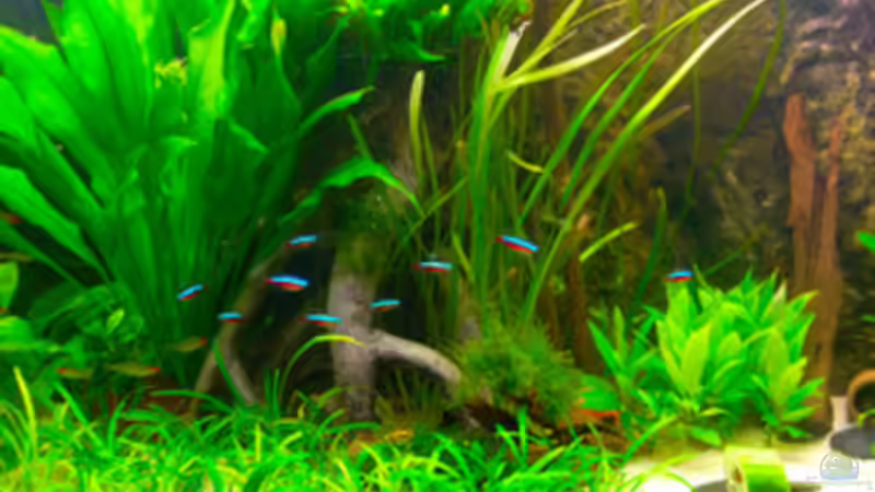 Mitte von Mathias Möller (2)