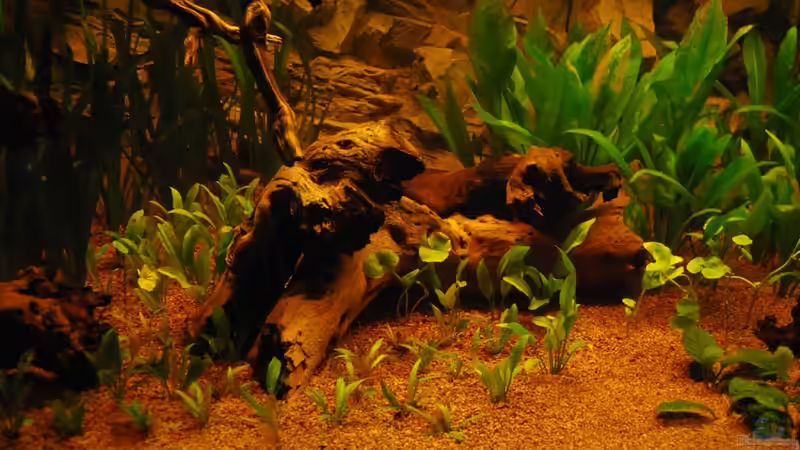 Mitte von matthiasm (4)