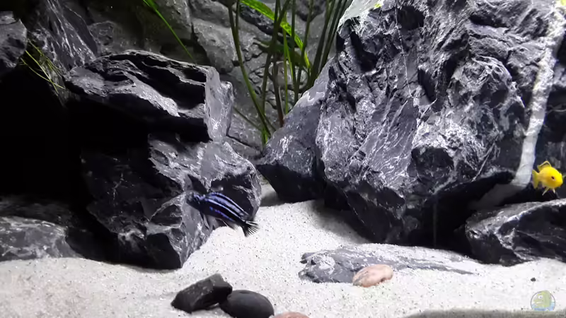 Mitte von MbunaTowers (10)