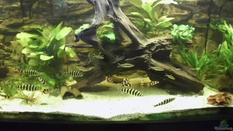 Mitte von Michael Schilling (2)