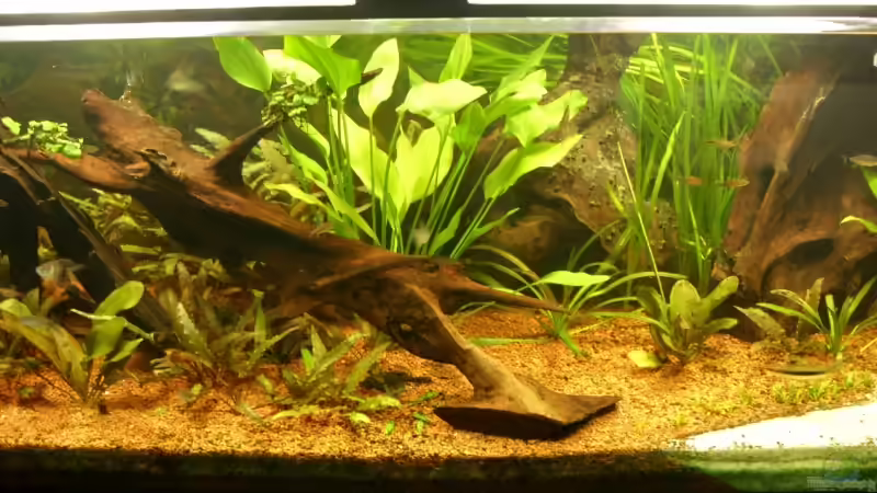 Mitte von Oliver Boden (3)