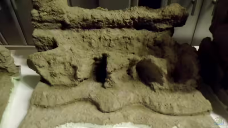 Mitte von snooze (23)