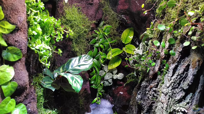 Mitte von Stephi (6)