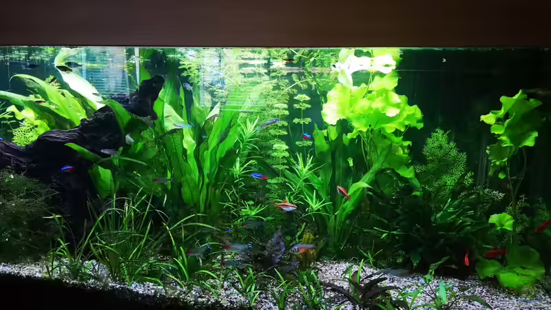 Mitte von Sven2501 (3)