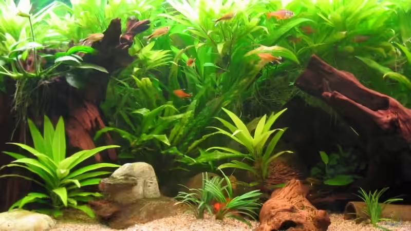 Mitte von Thomas Hilsberg (3)