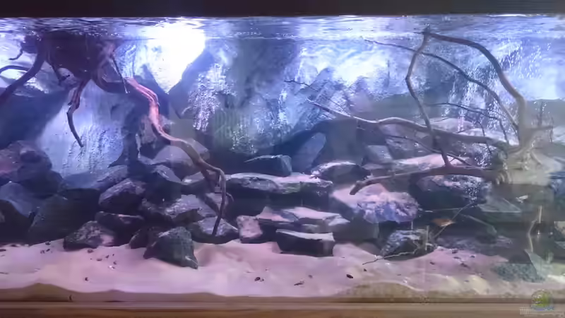 Mitte von Tobias Summerer (22)