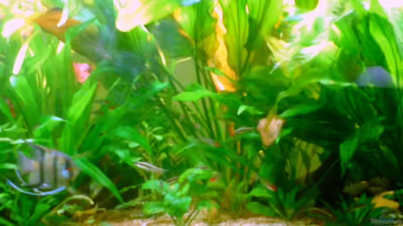 mitte von Tom Prpic (3)