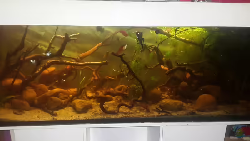 Mittel+Südamerika  von Tobias Bönte