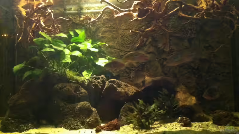 Mittelamerika  von American Stone