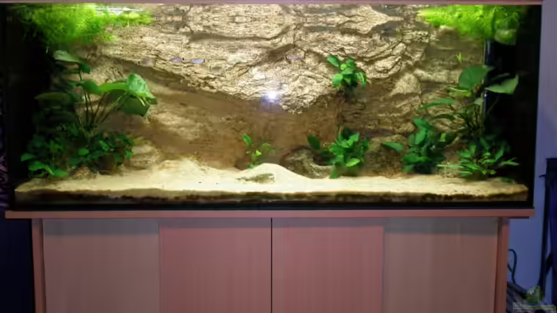 Mittelamerikabecken von Thomas Bichler (2)