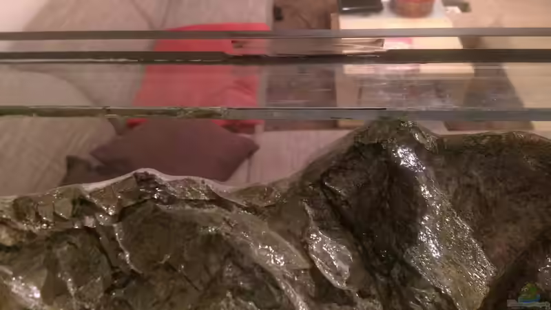 Mittelsteg entfernt von *Malawi* (15)