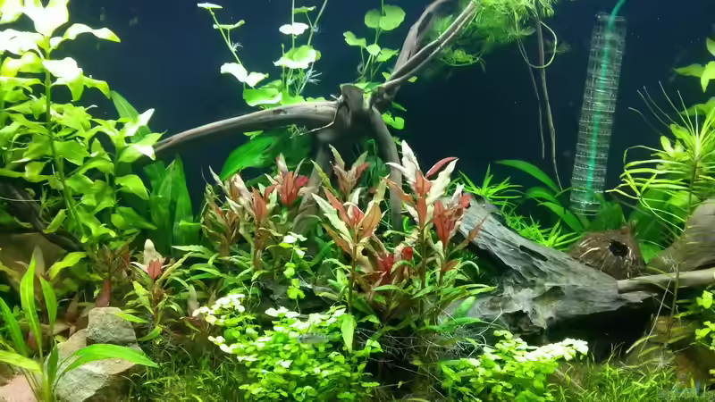 Mittelteil 23.10.2014 von Aalfred (7)