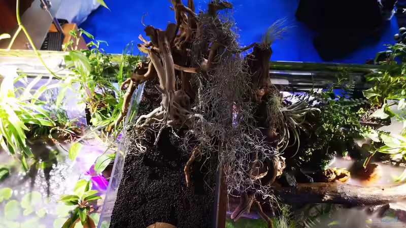 MittelTeil der Uferzone von Alexander Deepocean (29)