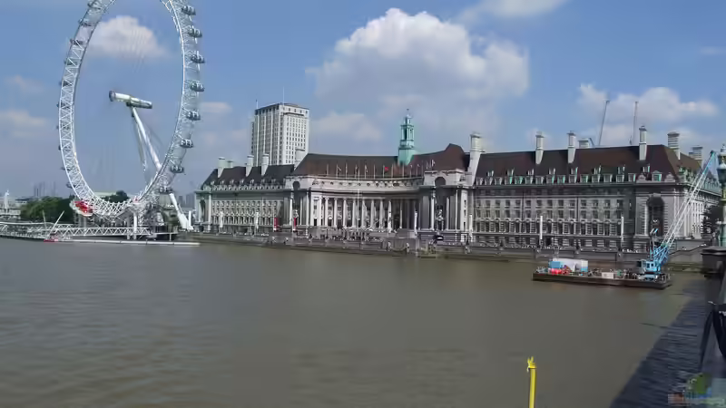 Mitten im Herzen der Weltstadt: Das London Aquarium