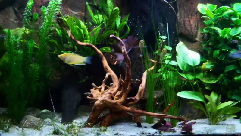 Mitten rein 16.02.2015 von Schratze (49)