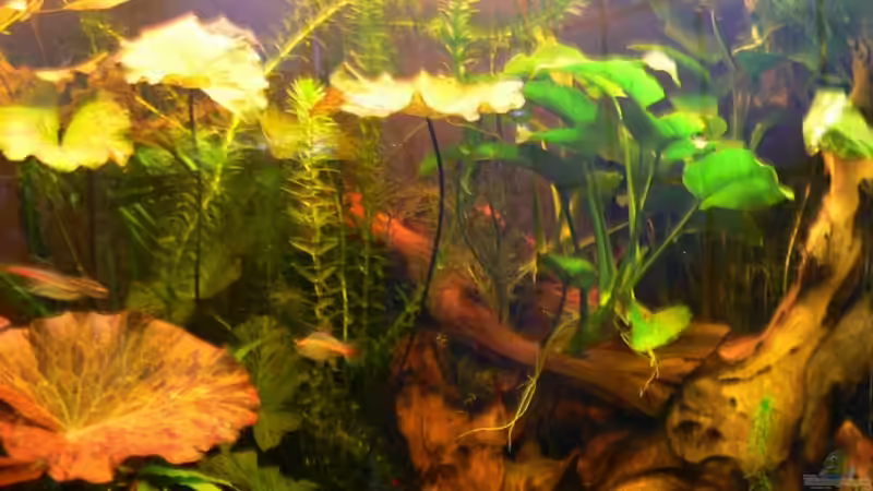 Mittenrein fotografiert von René Leubecher (3)