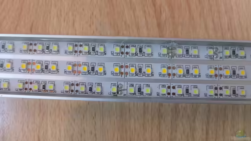 Mittig 1 Reihe warm weiß, Aussen 1 Reihe cool weiß von axolotl (34)