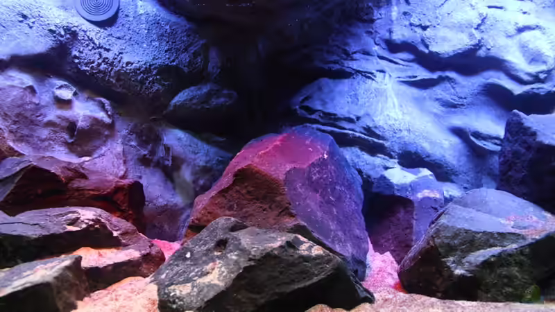 mittig von Michael Reiz (31)